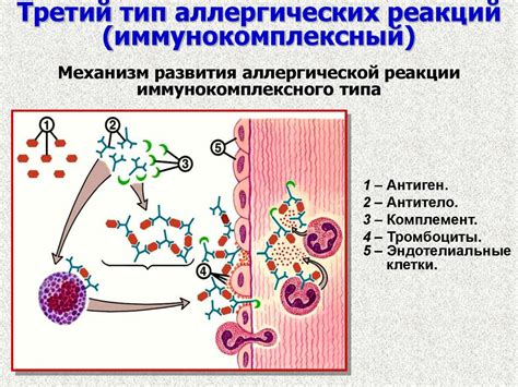 Увеличение вероятности аллергических реакций