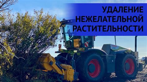 Удаление нежелательной растительности