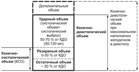 Ударный объем и его измерение