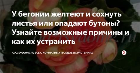 Узнайте возможные причины