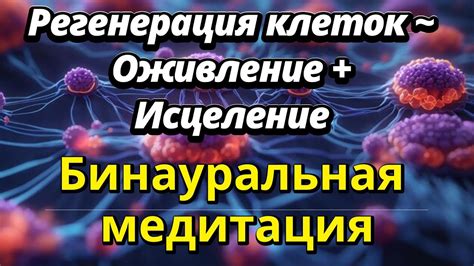 Укрепление иммунной системы дерева