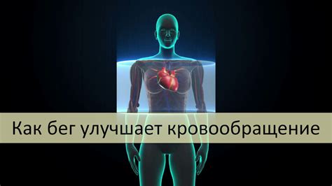 Улучшает кровообращение