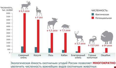 Уменьшение популяции диких животных