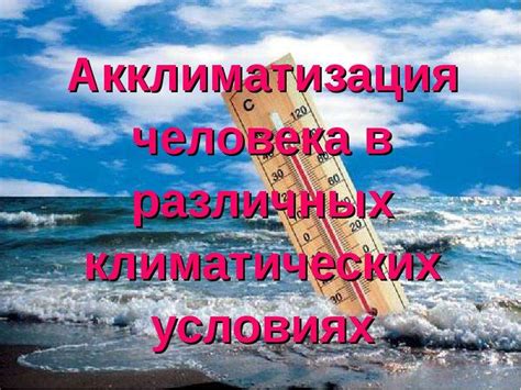 Универсальность применения в различных климатических условиях