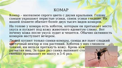 Уникальные аспекты развития самцов комаров