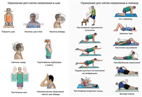 Упражнения и физическая терапия для лечения кифотической установки шейного отдела позвоночника