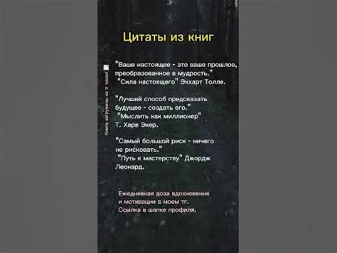 Уроки, которые глаза мудрых панд помогли усвоить