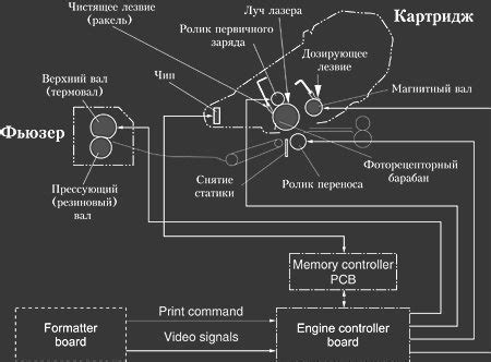 Устройство и принцип работы 2S-T2