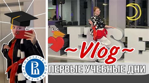 Учебные дисциплины на первом курсе колледжа