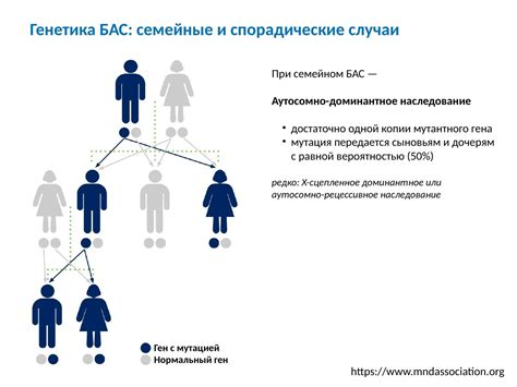 Факторы, влияющие на наследование от матери