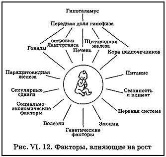 Факторы, влияющие на развитие гетероориентации