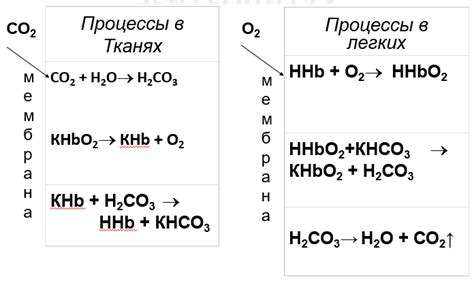 Факторы, влияющие на уровень гемоглобина