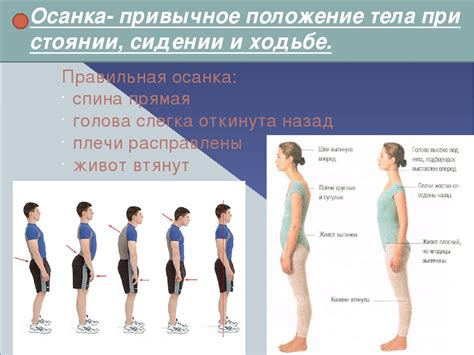 Факторы риска для развития выпрямления позвоночника