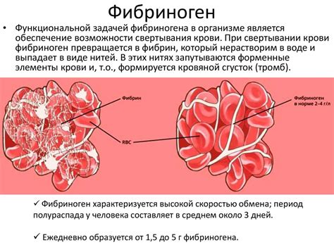 Фибриноген: определение и структура