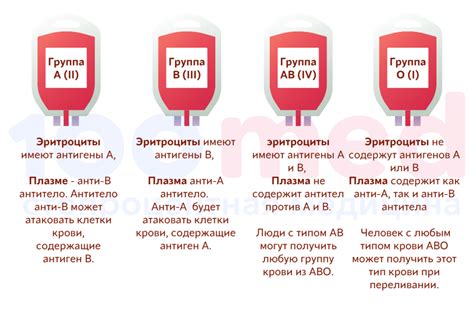 Физиологические аспекты: почему младенец в крови?