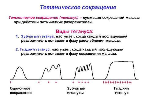 Физиологические процессы, приводящие к ощущению тепла