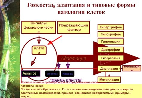 Физиологические сигналы