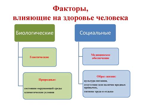 Физиологические факторы, влияющие на раннее просыпание