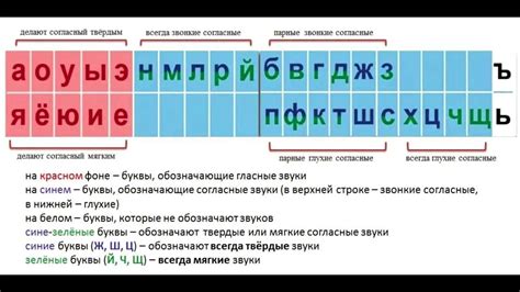 Физические особенности гласных и согласных звуков