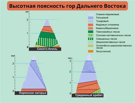 Физическое объяснение различий