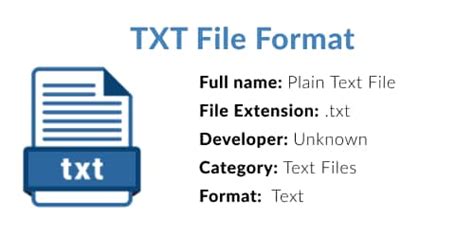 Формат TXT: описание и применение