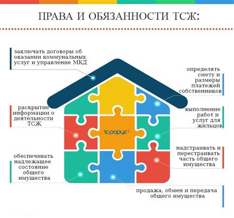 Формы ответственности и права собственников в ТСЖ и УК