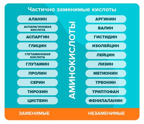 Функции аминокислот