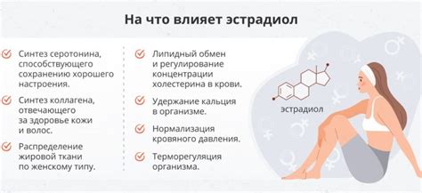 Функции эстрадиола в женском организме