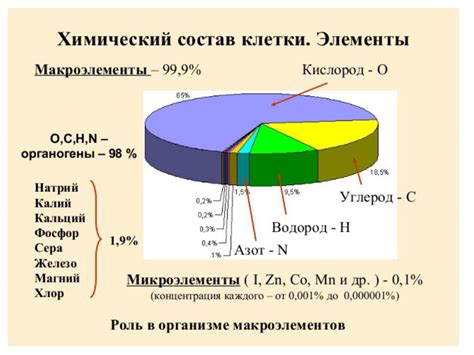 Химический состав солонки