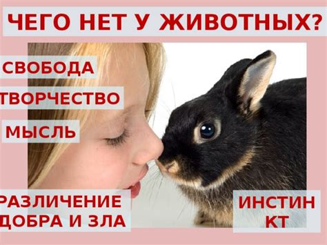 Чего нет у животных