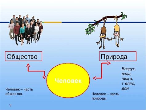 Человек в обществознании: основы знаний для 8 класса