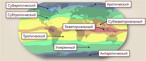 Чем отличаются переходные пояса от основных?