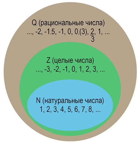 Числа рациональные: примеры и отличия