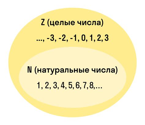 Числа целые: примеры и отличия