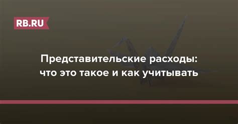 Что включает представительские расходы