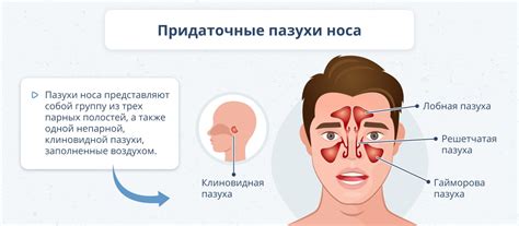 Что делать, если слизистая носа высохла