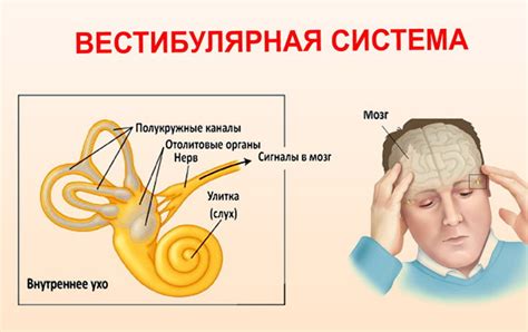 Что делать при нарушениях функции вестибулярного аппарата