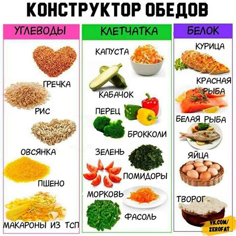 Что есть на белковой диете? 15 полезных продуктов