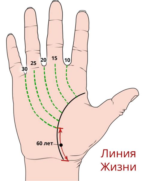 Что обозначает линия жизни на левой ладони
