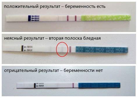 Что означает вторая белая полоска на тесте