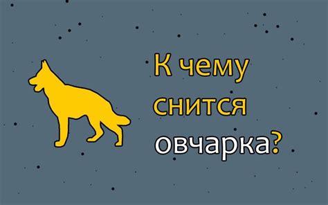 Что означает сновидение о разных животных?