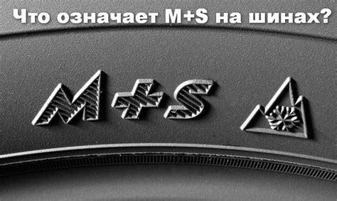 Что означает M+s на летней резине?