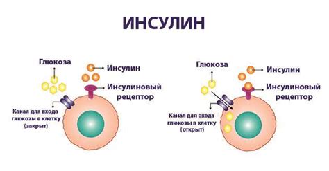 Что приводит к возникновению избыточного давления в сосудах?