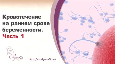 Что приводит к выкидышам: основные причины потерь ранней беременности