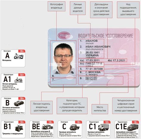 Что такое категория D1E водительских прав?