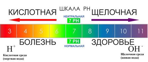 Что такое кислотно-щелочной баланс