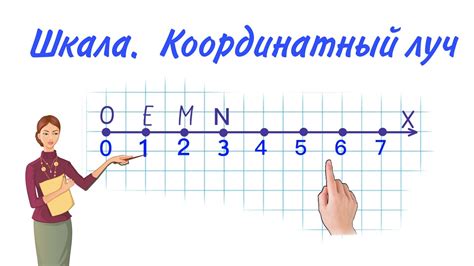 Что такое координатный луч?