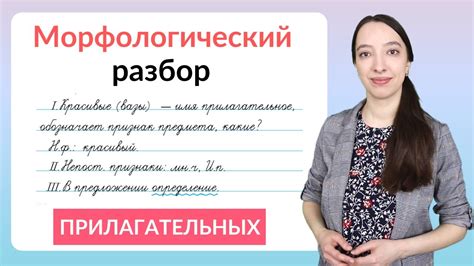 Что такое морфологический разбор?