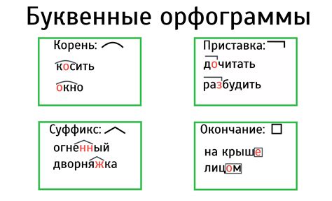 Что такое орфограмма и зачем его изучать?