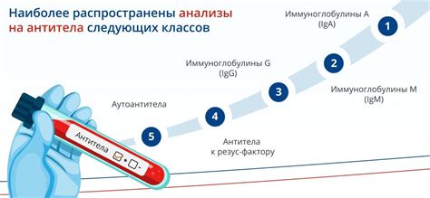 Что такое положительный анализ на антитела IgG к Chlamydia pneumoniae у ребенка?